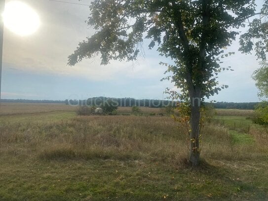 Lust auf Land? Ruhig gelegenes Baugrundstück in Landin