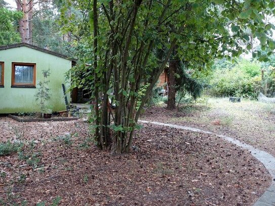 Ruhig gelegenes Waldgrundstück mit Bungalow