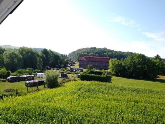 Singlewohnung zu vermieten an NR - DG, sehr ruhige helle Lage, Ortsrand Neckarbischofsheim, ab 01.02.2025