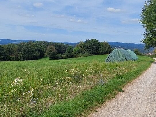 Landwirtschaftliche Fläche in der Nähe von 93413 Katzberg mit ca. 4.366 qm