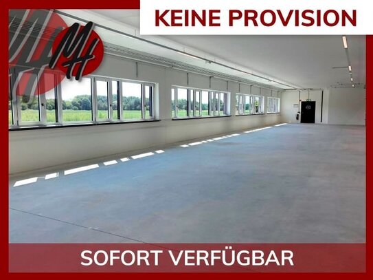 KEINE PROVISION - SCHNELL VERFÜGBAR - Lager-/Service (500 m²) & Büro (300 - 700 m²)