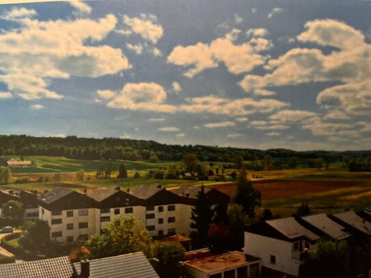 Toller Ausblick - 1 Zimmer Wohnung für Singles oder Pendler in ruhiger Wohnlage von Warmbronn