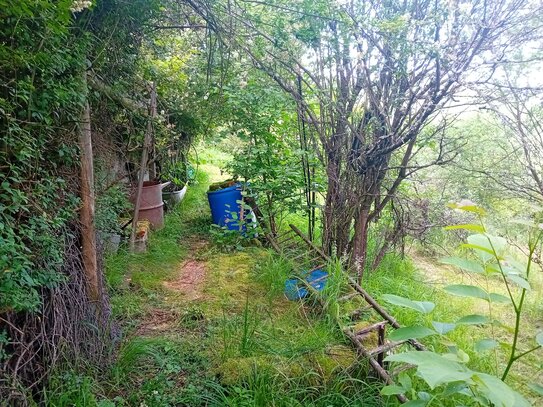 Schorndorf: Freizeitgrundstück mit Gartenhütte/ Aussichtsterrasse