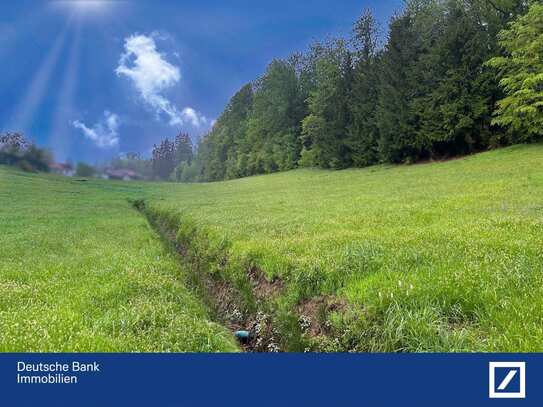 *Ausgleichsfläche ca. 1,7 ha Grünland in Neureichenau* - Bayerischer Wald