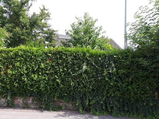 Ein Traum von Ruhe und Natur! Frei stehendes Einfamilienhaus auf 940 m² Grundstück