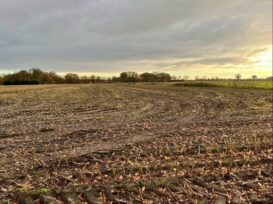 ca. 2,8 ha Ackerland im Raum Emlichheim