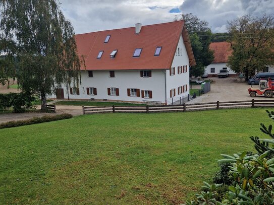 Große, komplettsanierte helle Wohnung