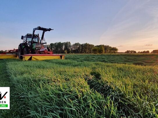 *Landwirtschaftliche Flächen* in Ostfriesland gesucht!