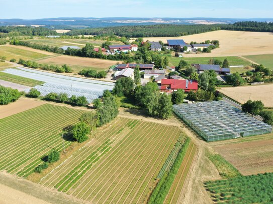 Schöner arrondierter Betrieb perfekt zum Anbau von Gemüse- und Sonderkulturen