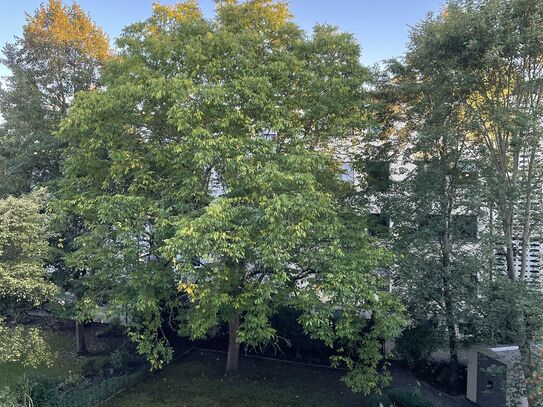 1 Zimmer Wohnung mit Garten an der Donau zu vermieten