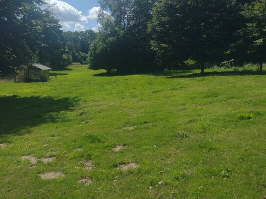 Das beste kommt zum Schluss - TOP Baugrundstück sonnig ruhig Süd-West-Lage für mod. Einzelhaus oder Stadtvilla