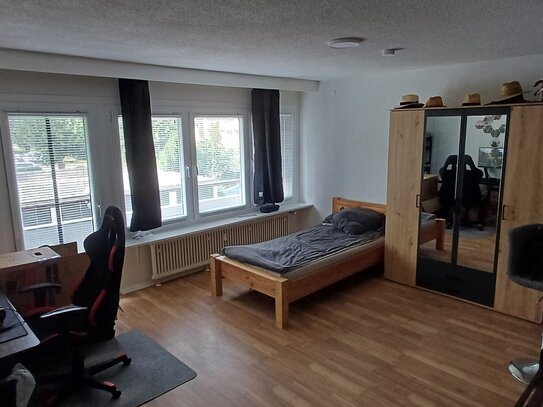 Schöne und renovierte 1-Zi. Wohnung mit Balkon, EBK und Waschmaschine