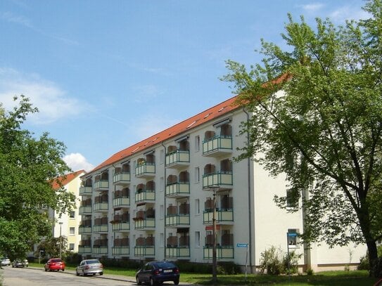 Moderne 4-Raum-Wohnung in ruhiger Lage