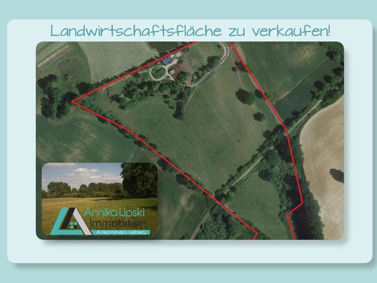 Uckermark - Landwirtschaftsfläche zu verkaufen!