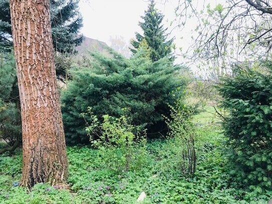 Schönes Baugrundstück in ruhiger grüner Lage in Kaulsdorf-Nord