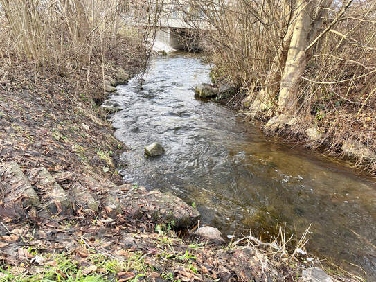 Charmante Kapitalanlage: Maisonette-Wohnung mit Balkon und Einbauküche in Bad Waldsee