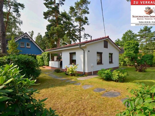 Das besondere Wochenendhaus im Kiefernwald vom Ostseeheilbad