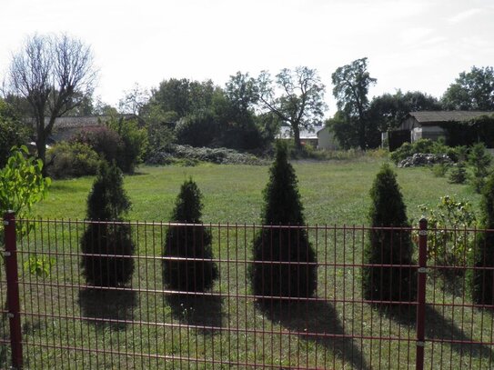 Gepflegtes Baugrundstück nahe der Kreisstadt Seelow