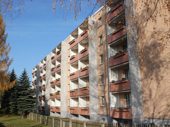 3-Raumwohnung mit Balkon und Dusche im Kappler Stadtgarten