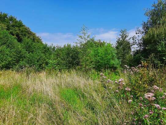 Traumhaftes Grundstück in Witten - Ideal für Selbstversorger oder Projektentwickler