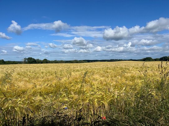 14 ha Landwirtschaftsfläche Acker in MV, LK Vorpommern-Greifswald!