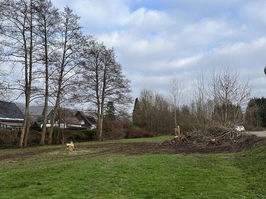 Bauen in Bestlage direkt am Stadtpark!