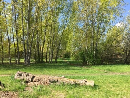 Baugrundstücke in zentraler Lage von Magdeburg für ein Wohn- und Geschäftshaus