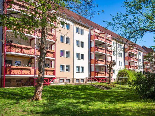 Wohnvergnügen verteilt auf 3 Zimmer