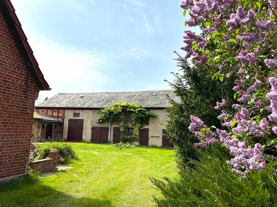 Platz für Kinder, Pferde, Hund, Huhn & Co.! Geräumiges Haus mit Land, Scheune & Stallungen