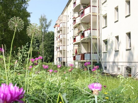 Sonnige, möblierte 1-Raum-Wohnung mit Dusche