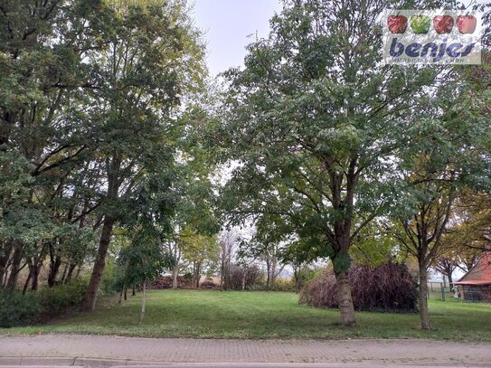 Großzügiger Bauplatz in Dorflage mit herrlichem Baumbestand