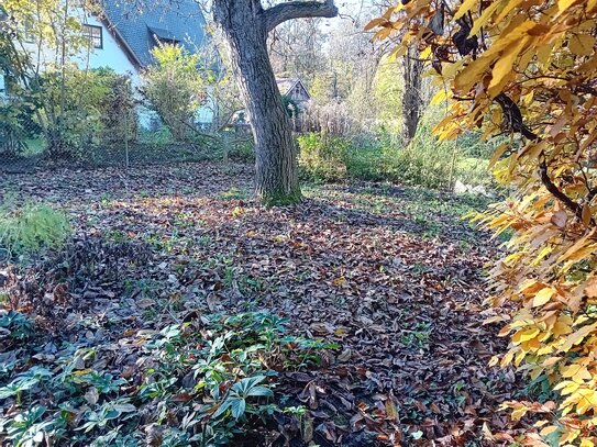 Begehrtes Grundstück an der Isar von Privat