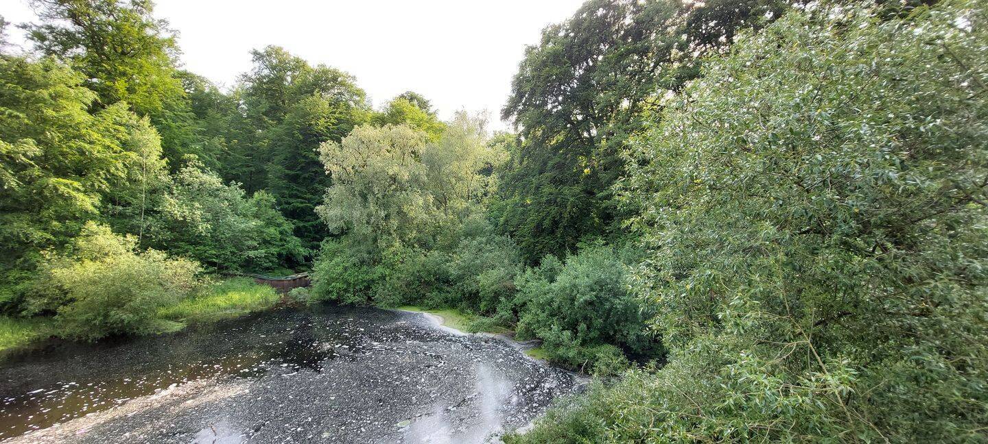 3-Zimmer-Wohntraum mit großem Balkon und Blick auf Wasser