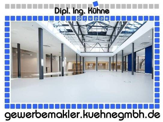 Prov.-frei: Moderne und helle Büros