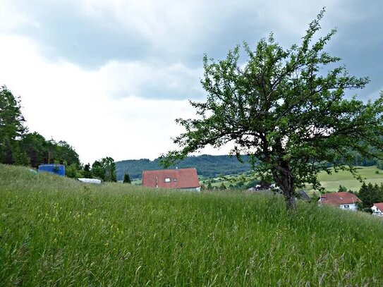 **Mit einzigartiger Aussicht** Baugrundstück in ruhiger Randlage