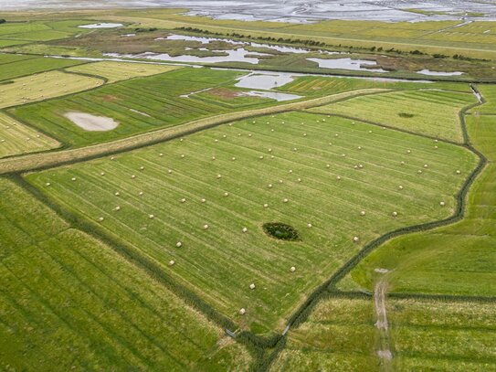 Grünland in Sankt Peter-Ording zu verkaufen