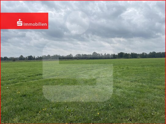 Landwirtschaftliche Fläche mit Ökokonto - Kompensationsfläche?