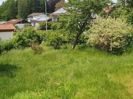 Hier könnte Ihr Eigenheim stehen! Sonniges Grundstück in zentrumsnaher Lage zu verkaufen.