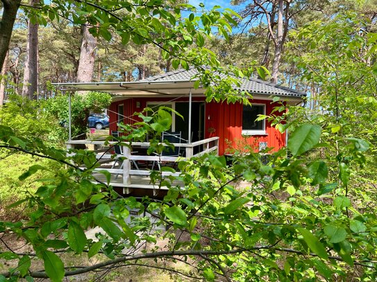 Ein charmantes Ferienhaus / TIPI, klein und fein !