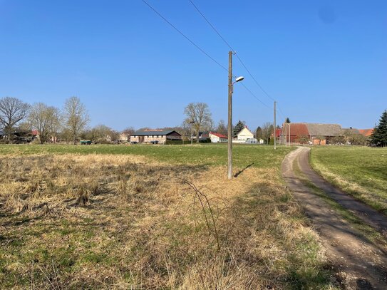 Gehöft mit angrenzender Ackerfläche - Wiese - Weg - Kiefernwald - gesamt 15,8 ha