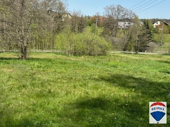 Großzügiges Grundstück im wunderschönen Fichtelgebirge