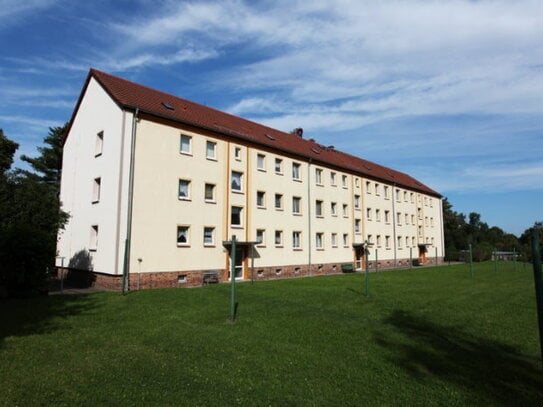 Familienwohnung in Borna, OT Neukirchen