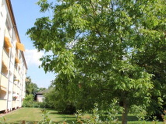 Zentral gelegene, schöne und helle 2-Zi. Wohnung im Herzen von Erlangen - Sieglitzhof