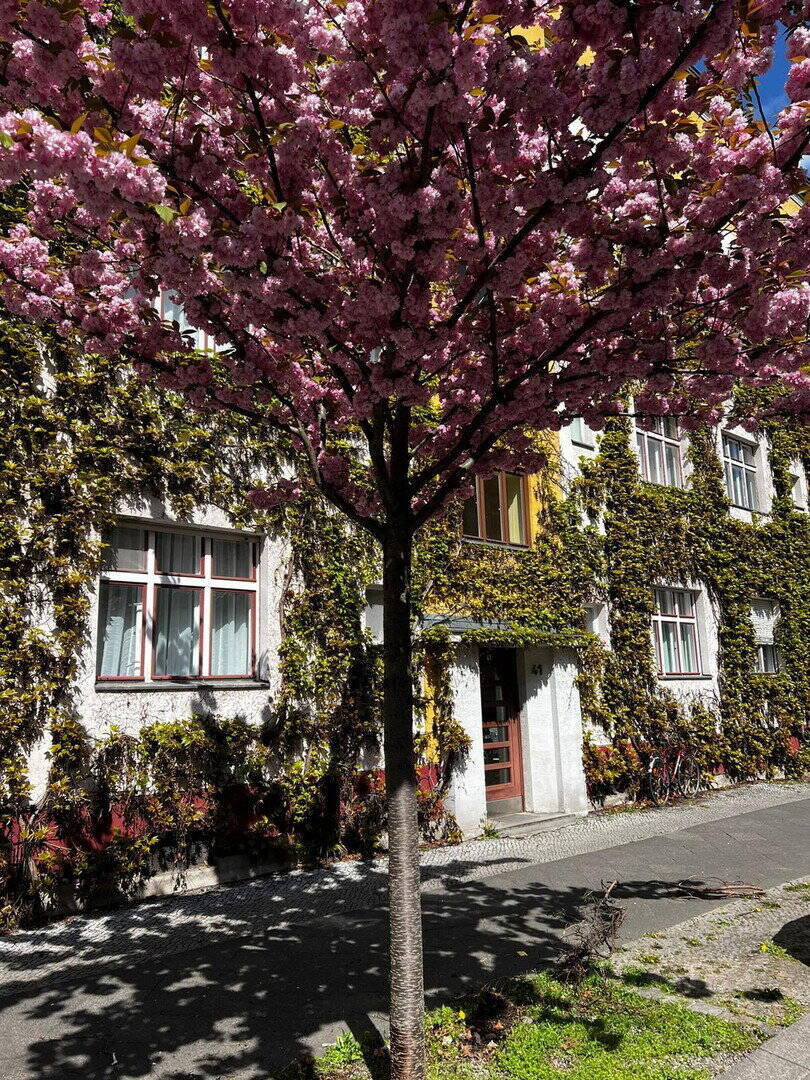 Möblierte, gemütliche, ruhige 2-Zimmer Wohnung mit Balkon im Denkmalschutz Ensemble P.Berg - Photo 1