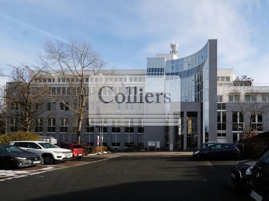 Moderne Büroflächen zur Anmietung - COLLIERS