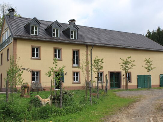 Hochwertiges Mühlenanwesen in traumhafter Alleinlage mit unverbaubarer Fernsicht, ideal für Tierhaltung!