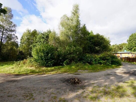 254 m² Naturgrundstück im Wochenendgebiet Brauel - Ihr Rückzugsort!