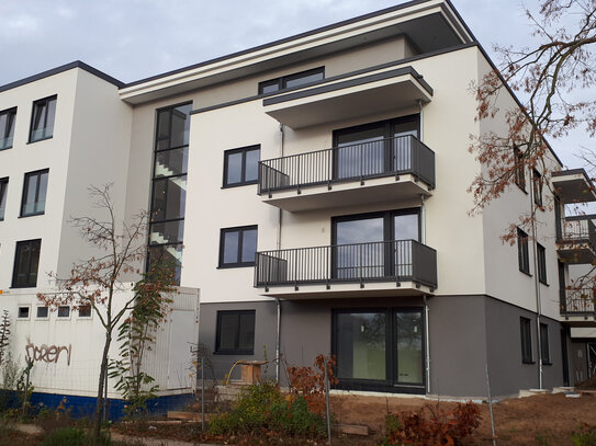 Großzügige 2 Zimmer Wohnung mit Balkon in Grünheide