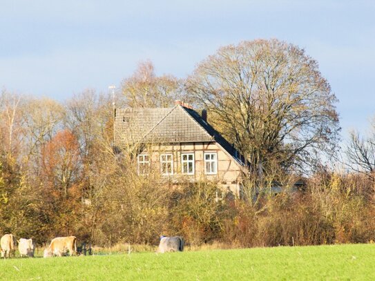 denkmalgeschütztes Gutshaus auf weitläufigem Grundstück im Landkreis Rostock