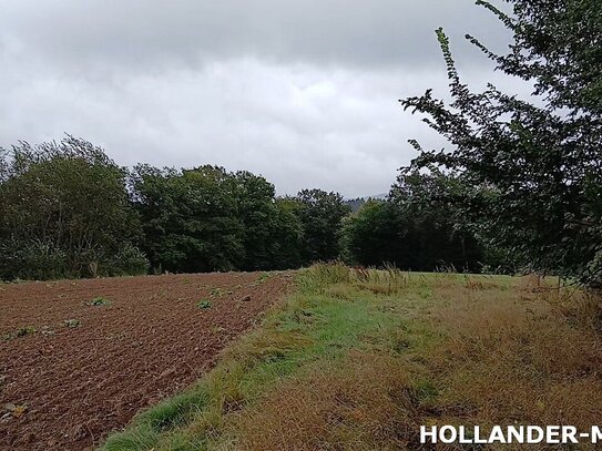 Über 1 Hektar Waldfläche zum Verkauf in Pommern